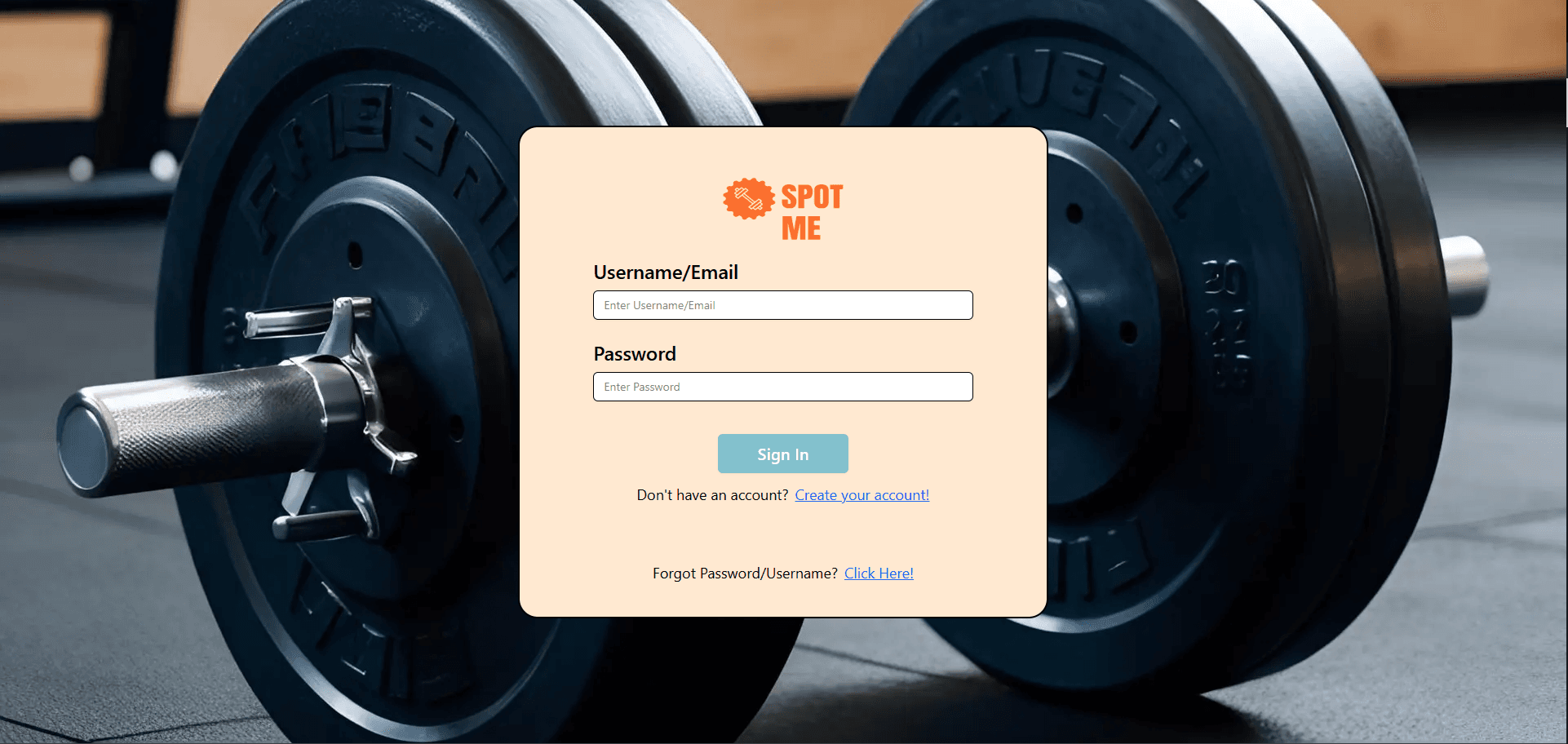 SpotMe | Full-Stack Fitness Matchmaking Platform